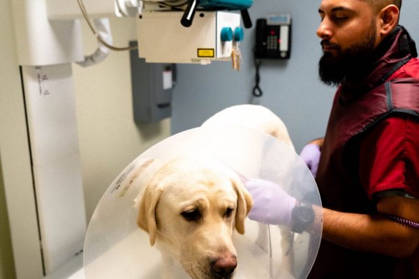 Kraken ссылка для тору