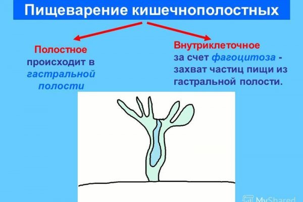 Кракен нрк