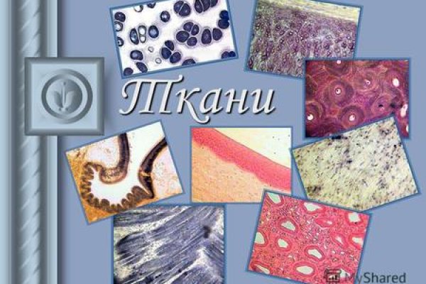 Кракен пользователь не найден что