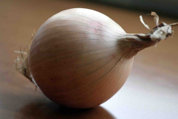 Kraken darknet onion