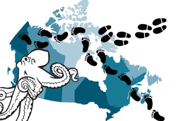 Кракен зеркало krk market com