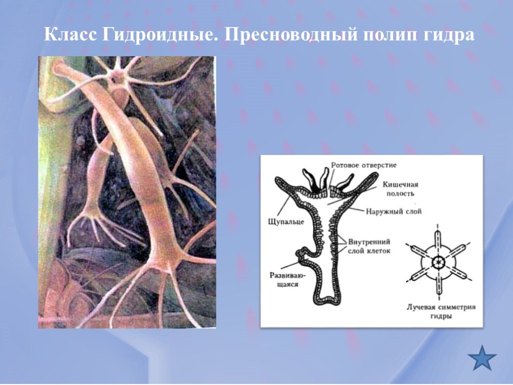 Кракен заблокировали